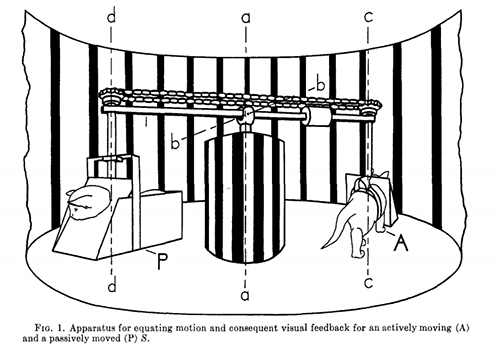 Hein & Held experiment 1963